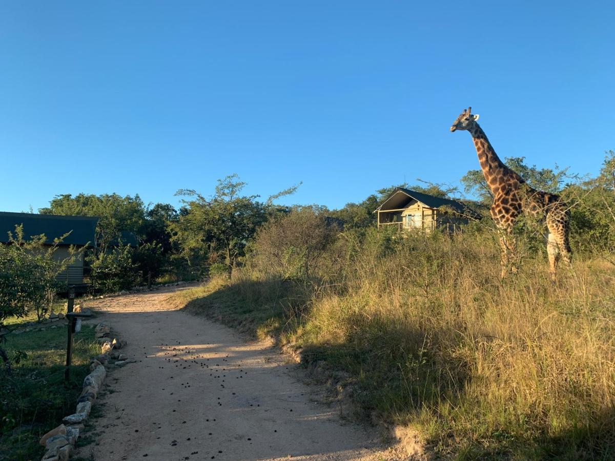 Ndhula Luxury Tented Lodge White River Luaran gambar