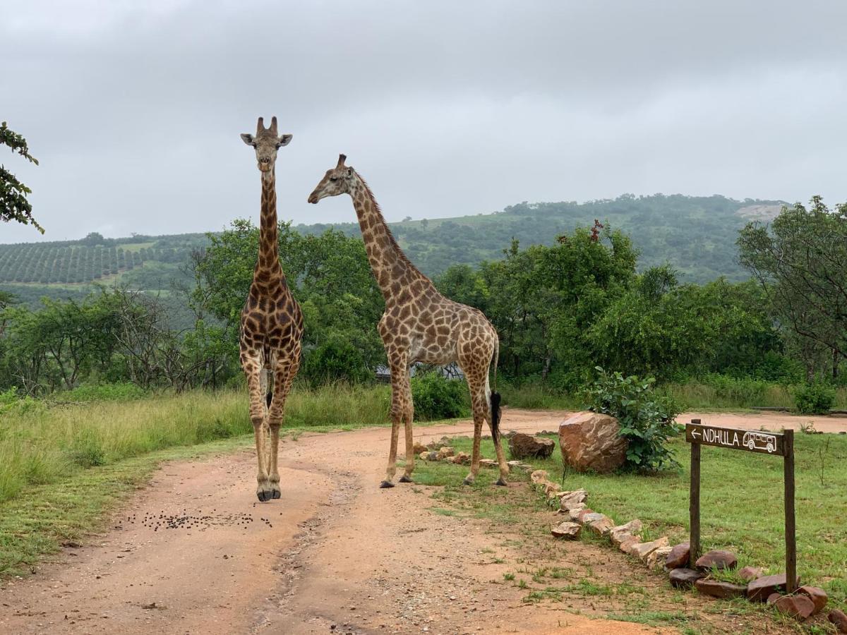 Ndhula Luxury Tented Lodge White River Luaran gambar