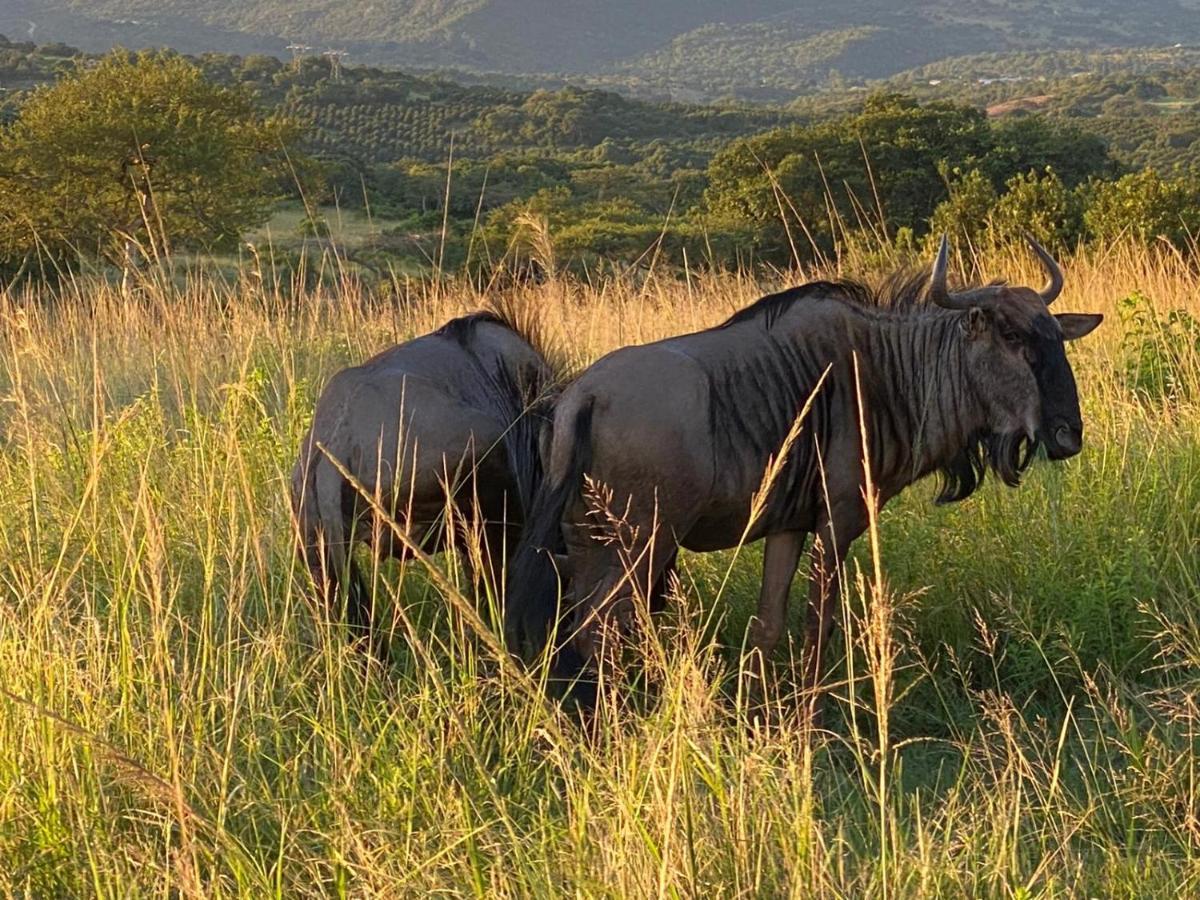 Ndhula Luxury Tented Lodge White River Luaran gambar