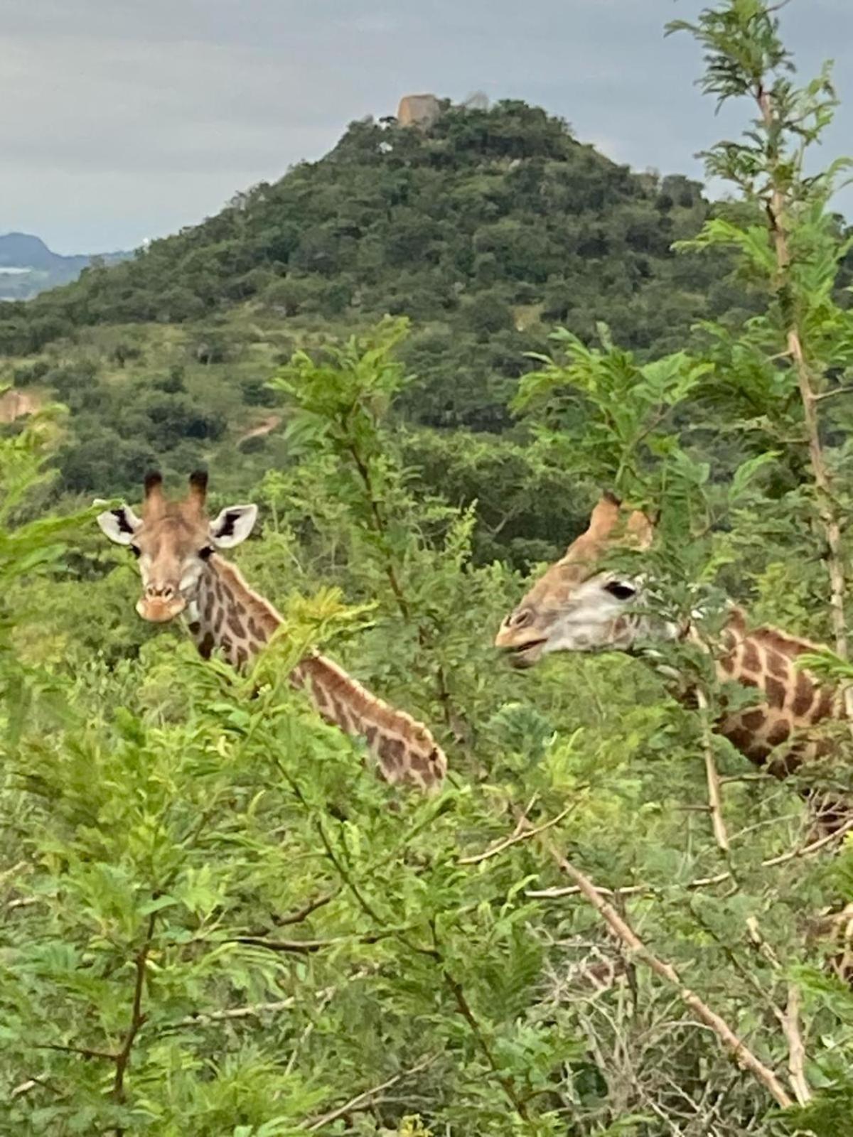 Ndhula Luxury Tented Lodge White River Luaran gambar