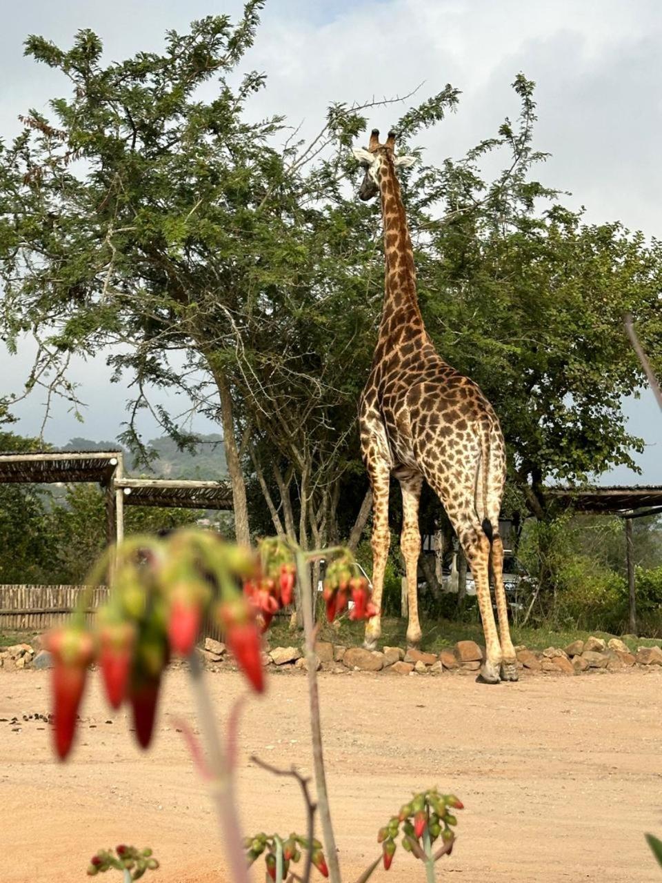 Ndhula Luxury Tented Lodge White River Luaran gambar